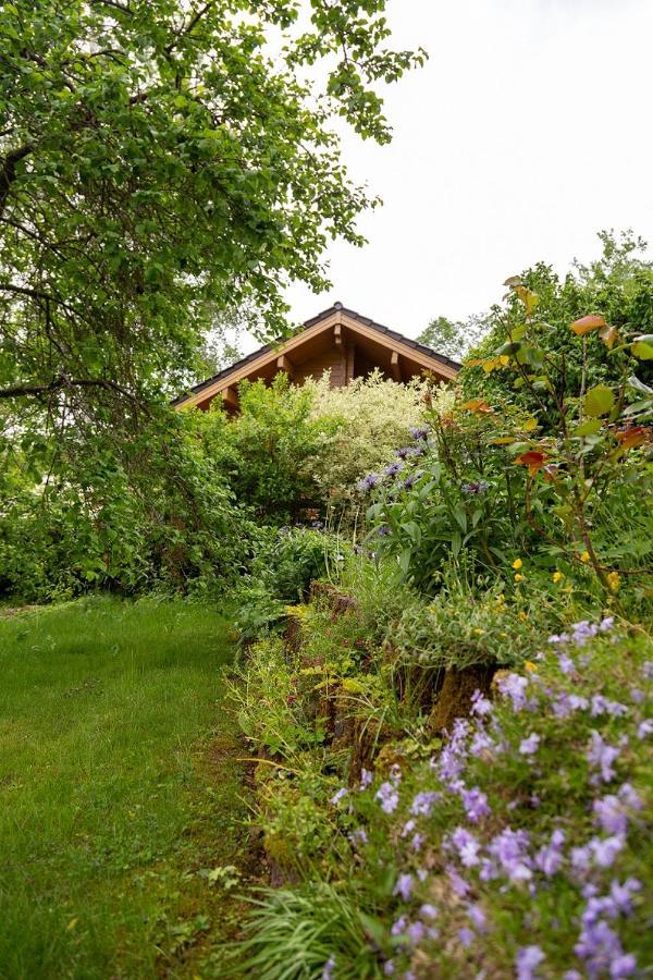 Ferienhaus Weitblick Altenbrak Ngoại thất bức ảnh